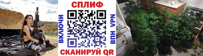 купить закладку  Дыгулыбгей  МАРИХУАНА Ganja 